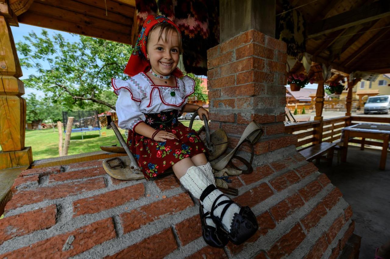 Pensiune Agroturistica "Casa Teodora" Budeşti Exteriér fotografie