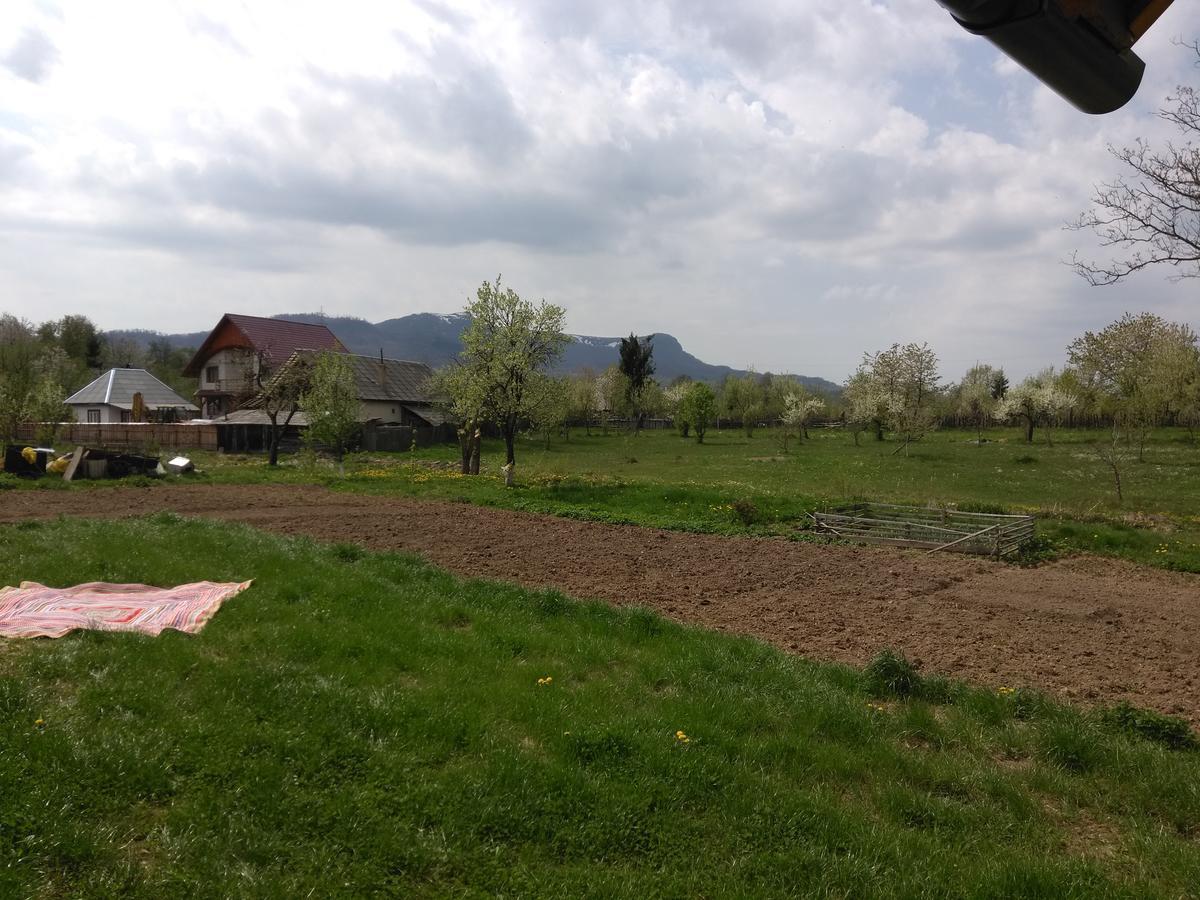 Pensiune Agroturistica "Casa Teodora" Budeşti Exteriér fotografie