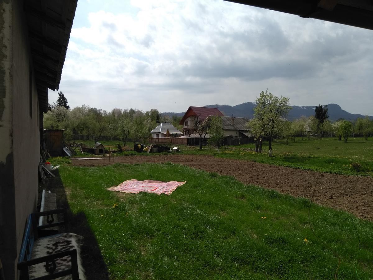 Pensiune Agroturistica "Casa Teodora" Budeşti Exteriér fotografie