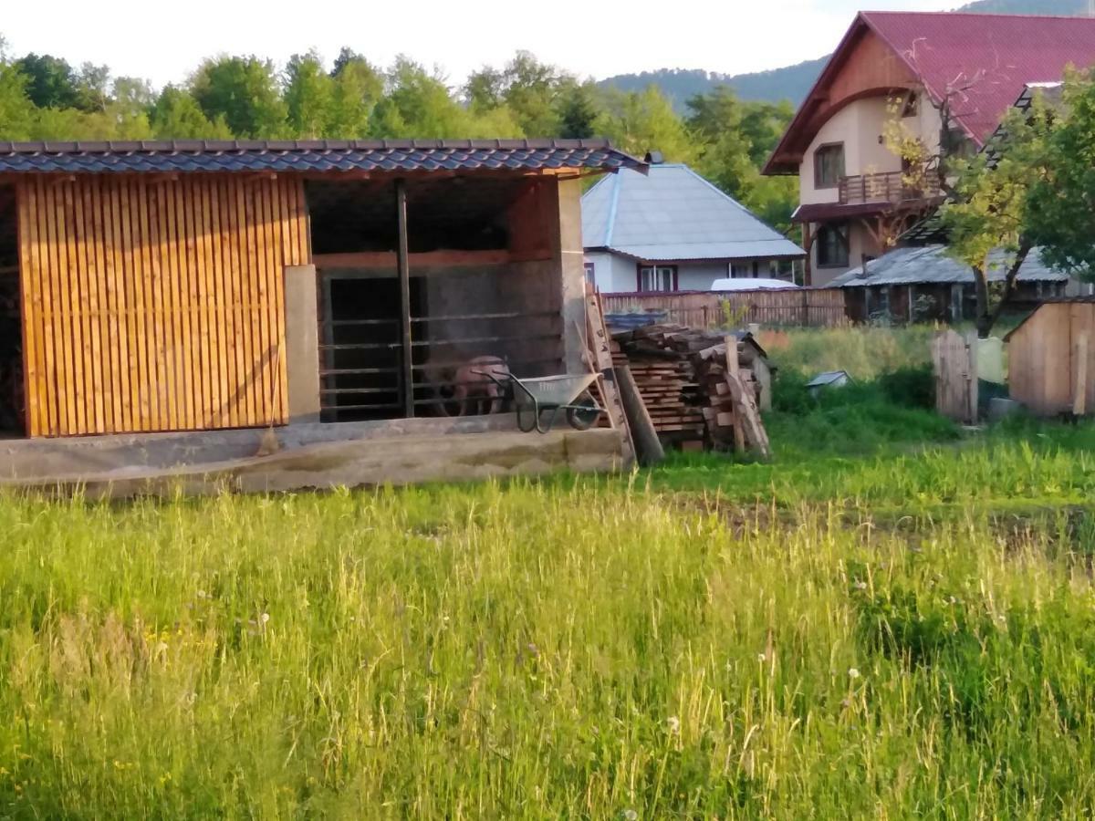 Pensiune Agroturistica "Casa Teodora" Budeşti Exteriér fotografie